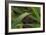 Grass-Gordon Semmens-Framed Photographic Print