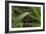 Grass-Gordon Semmens-Framed Photographic Print