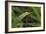 Grass-Gordon Semmens-Framed Photographic Print