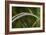 Grass-Gordon Semmens-Framed Photographic Print