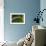Grass-Gordon Semmens-Framed Photographic Print displayed on a wall