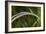 Grass-Gordon Semmens-Framed Photographic Print