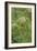 Grass-Vincent van Gogh-Framed Art Print