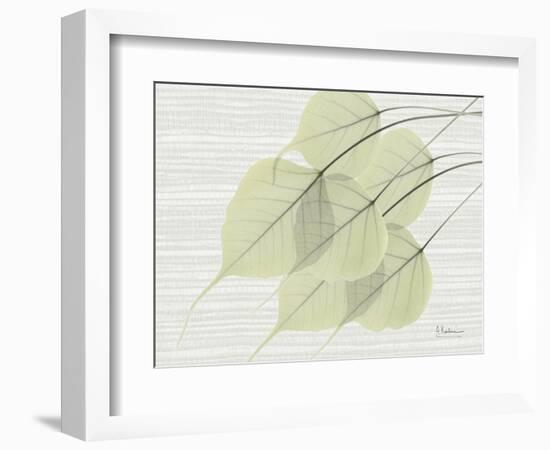Grasscloth BoTree-Albert Koetsier-Framed Premium Giclee Print