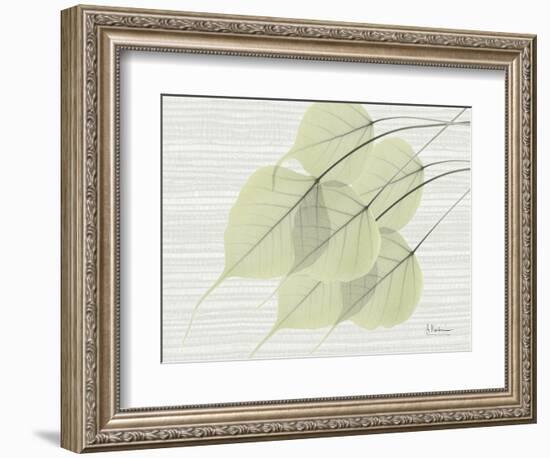 Grasscloth BoTree-Albert Koetsier-Framed Art Print