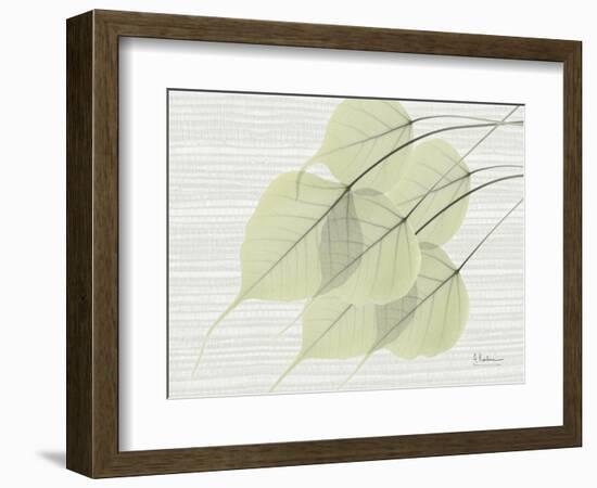 Grasscloth BoTree-Albert Koetsier-Framed Art Print