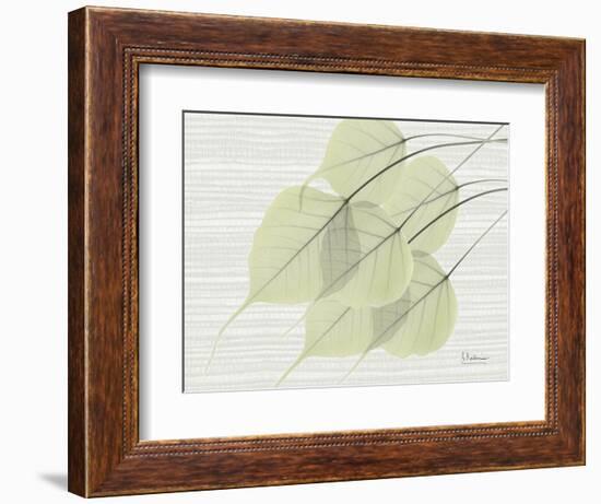 Grasscloth BoTree-Albert Koetsier-Framed Art Print