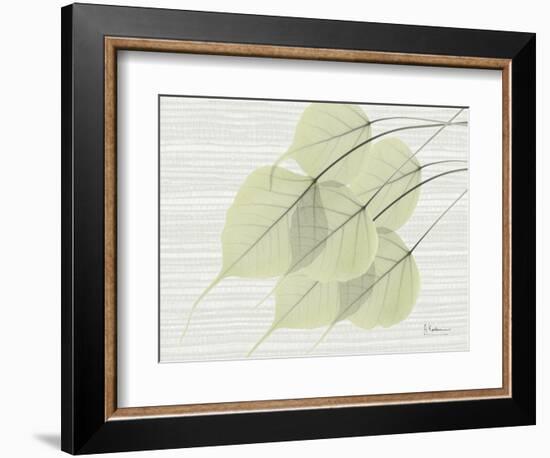 Grasscloth BoTree-Albert Koetsier-Framed Art Print