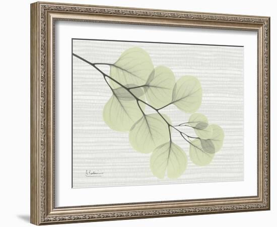 Grasscloth Eucalyptus-Albert Koetsier-Framed Art Print