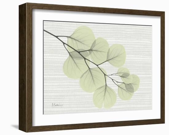 Grasscloth Eucalyptus-Albert Koetsier-Framed Art Print