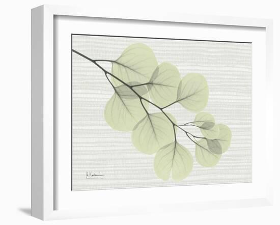 Grasscloth Eucalyptus-Albert Koetsier-Framed Art Print