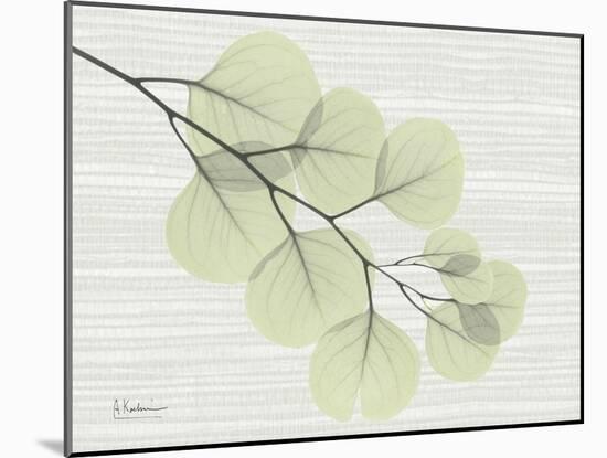 Grasscloth Eucalyptus-Albert Koetsier-Mounted Art Print