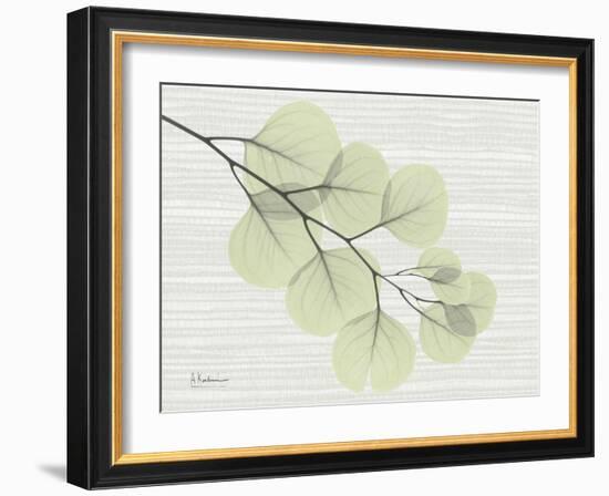 Grasscloth Eucalyptus-Albert Koetsier-Framed Art Print