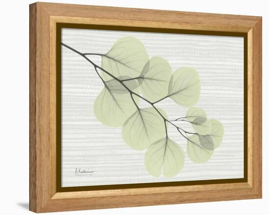 Grasscloth Eucalyptus-Albert Koetsier-Framed Stretched Canvas