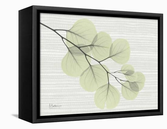 Grasscloth Eucalyptus-Albert Koetsier-Framed Stretched Canvas