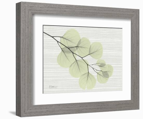 Grasscloth Eucalyptus-Albert Koetsier-Framed Art Print