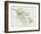 Grasscloth Eucalyptus-Albert Koetsier-Framed Art Print