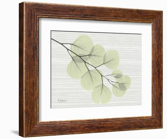 Grasscloth Eucalyptus-Albert Koetsier-Framed Art Print