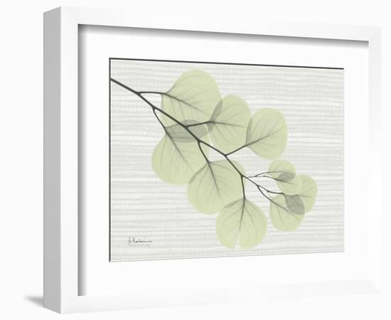 Grasscloth Eucalyptus-Albert Koetsier-Framed Art Print