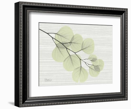 Grasscloth Eucalyptus-Albert Koetsier-Framed Art Print