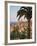 Grasse, Provence, France-Doug Pearson-Framed Photographic Print