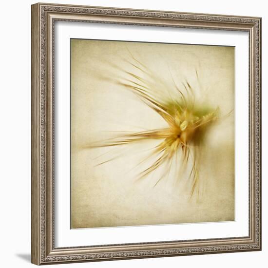 Grasses 2-Jessica Rogers-Framed Giclee Print