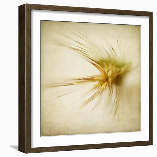 Grasses 2-Jessica Rogers-Framed Giclee Print