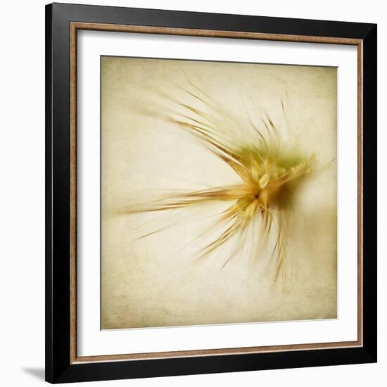 Grasses 2-Jessica Rogers-Framed Giclee Print