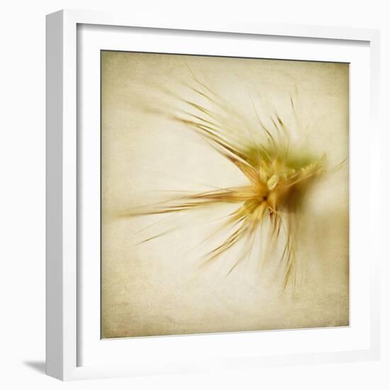 Grasses 2-Jessica Rogers-Framed Giclee Print