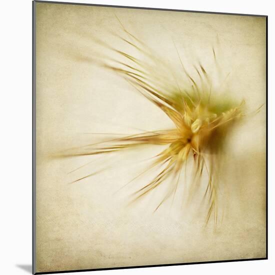 Grasses 2-Jessica Rogers-Mounted Giclee Print