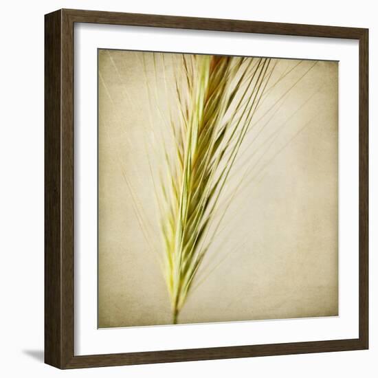 Grasses 3-Jessica Rogers-Framed Giclee Print