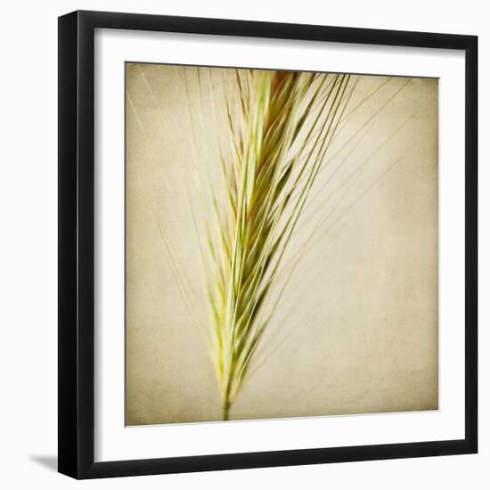 Grasses 3-Jessica Rogers-Framed Giclee Print