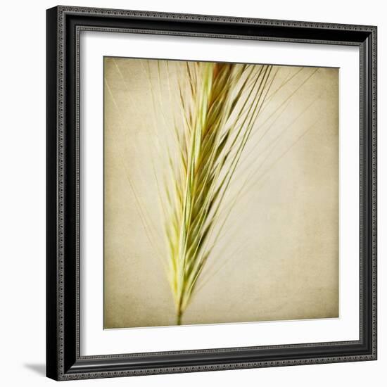 Grasses 3-Jessica Rogers-Framed Giclee Print