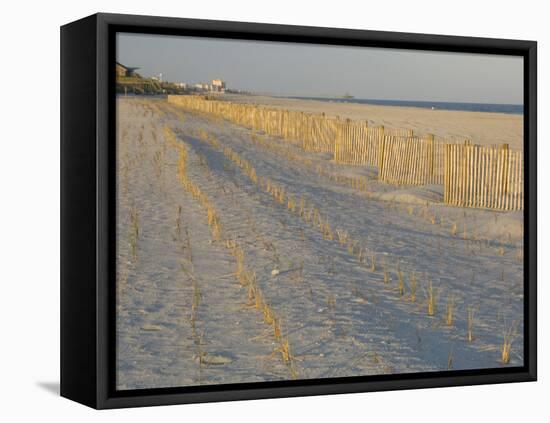 Grasses and Fences on Beach, Folly Island, Charleston, South Carolina, USA-Corey Hilz-Framed Premier Image Canvas