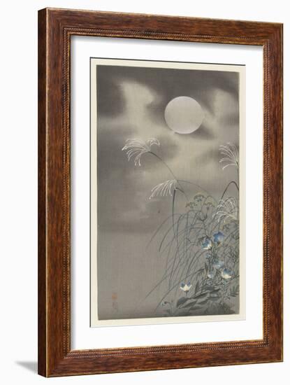 Grasses and Flowers by a Full Moon, 1900-30 (Colour Woodcut)-Ohara Koson-Framed Giclee Print