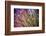 Grasses in Rain-Ursula Abresch-Framed Photographic Print