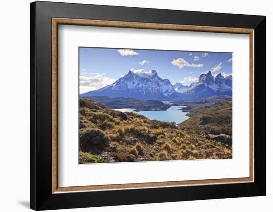 Grasses, Lago Pehoe and the Cordillera Del Paine, Torres Del Paine National Park-Eleanor Scriven-Framed Photographic Print