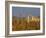 Grasses surrounding Corral Bullring, Camargue, France-Lisa S. Engelbrecht-Framed Photographic Print