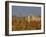 Grasses surrounding Corral Bullring, Camargue, France-Lisa S. Engelbrecht-Framed Photographic Print