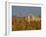 Grasses surrounding Corral Bullring, Camargue, France-Lisa S. Engelbrecht-Framed Photographic Print