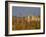 Grasses surrounding Corral Bullring, Camargue, France-Lisa S. Engelbrecht-Framed Photographic Print