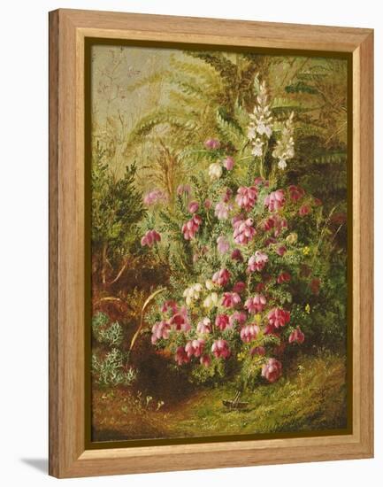 Grasshopper and Heather-Albert Goodwin-Framed Premier Image Canvas