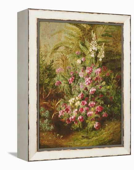 Grasshopper and Heather-Albert Goodwin-Framed Premier Image Canvas