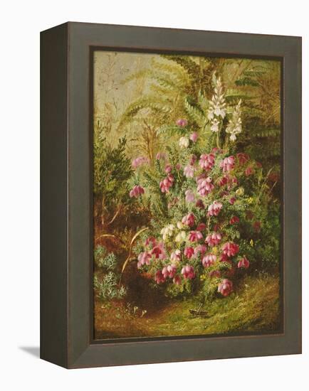 Grasshopper and Heather-Albert Goodwin-Framed Premier Image Canvas