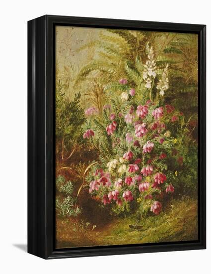 Grasshopper and Heather-Albert Goodwin-Framed Premier Image Canvas