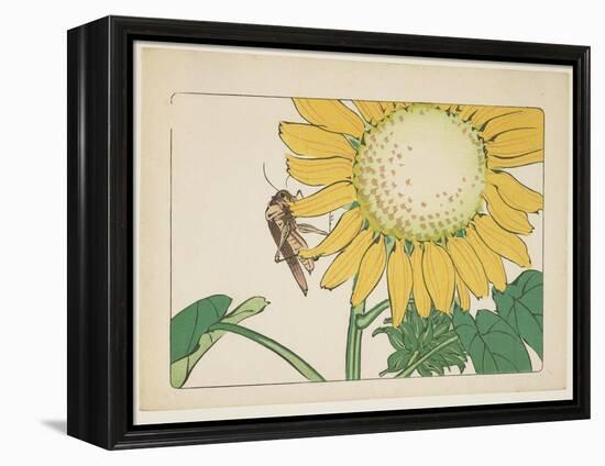 Grasshopper and Sunflower, C. 1877-Shibata Zeshin-Framed Premier Image Canvas