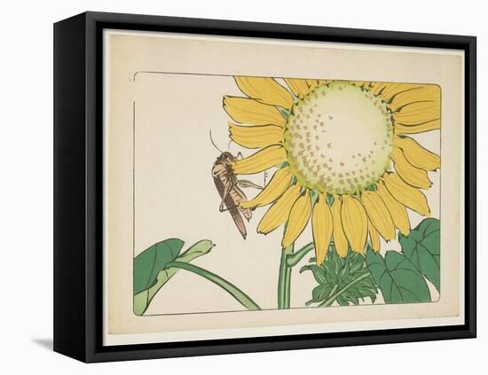 Grasshopper and Sunflower, C. 1877-Shibata Zeshin-Framed Premier Image Canvas