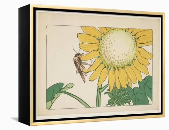 Grasshopper and Sunflower, C. 1877-Shibata Zeshin-Framed Premier Image Canvas