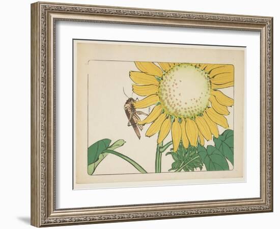 Grasshopper and Sunflower, C. 1877-Shibata Zeshin-Framed Giclee Print