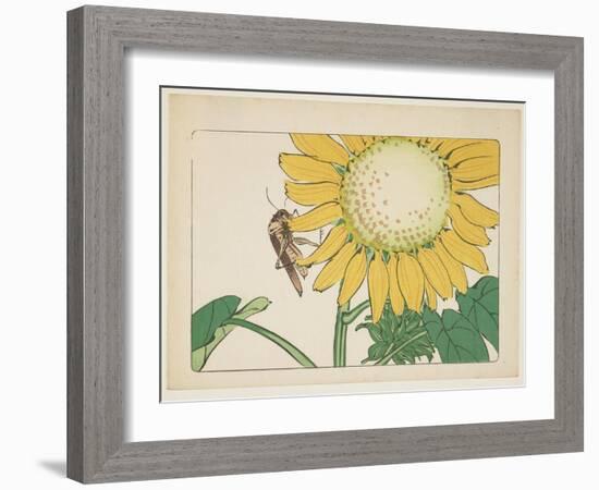 Grasshopper and Sunflower, C. 1877-Shibata Zeshin-Framed Giclee Print